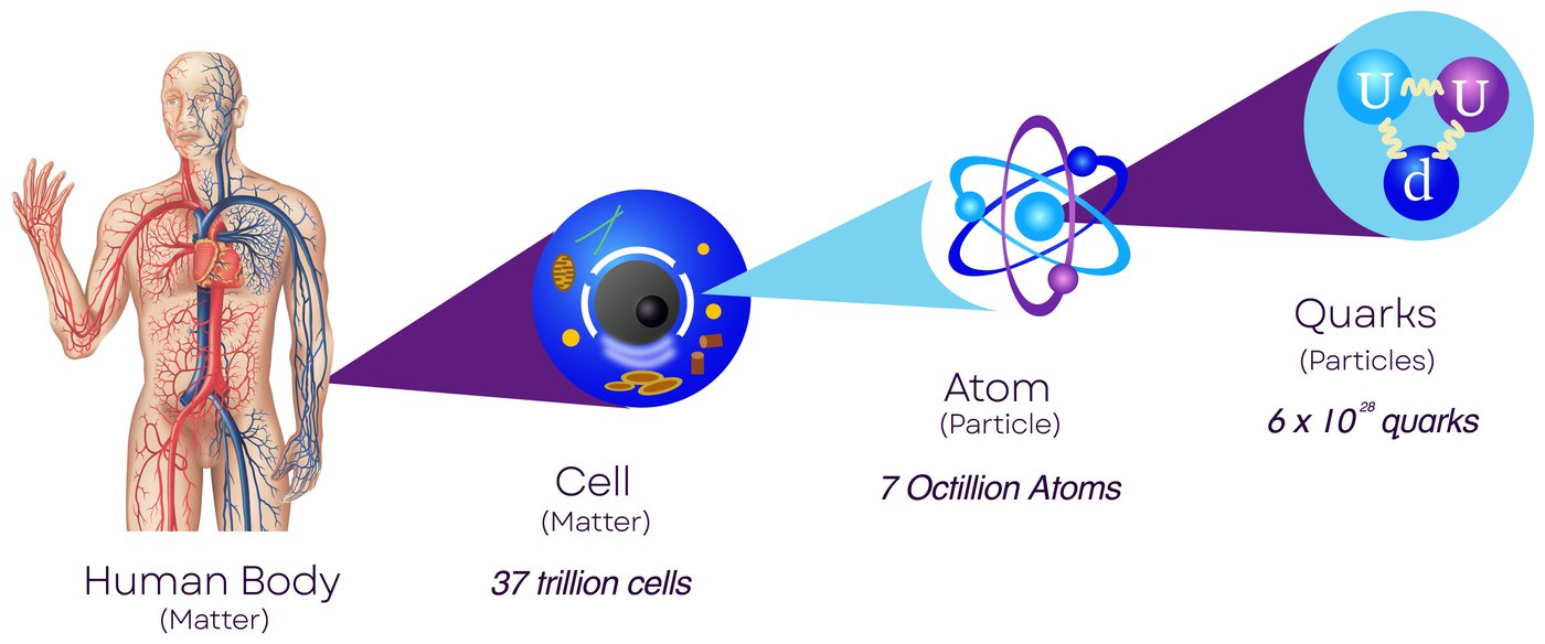 Illustration zooming from the human body to a cell, an atom, and quarks